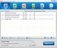 AnyBizSoft PDF Converter screenshot